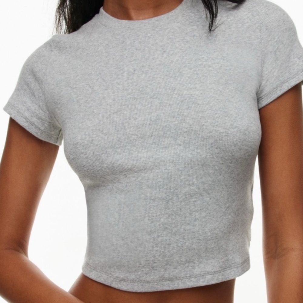Aritzia TNA Heather Gray Cropped Rib T-shirt size L